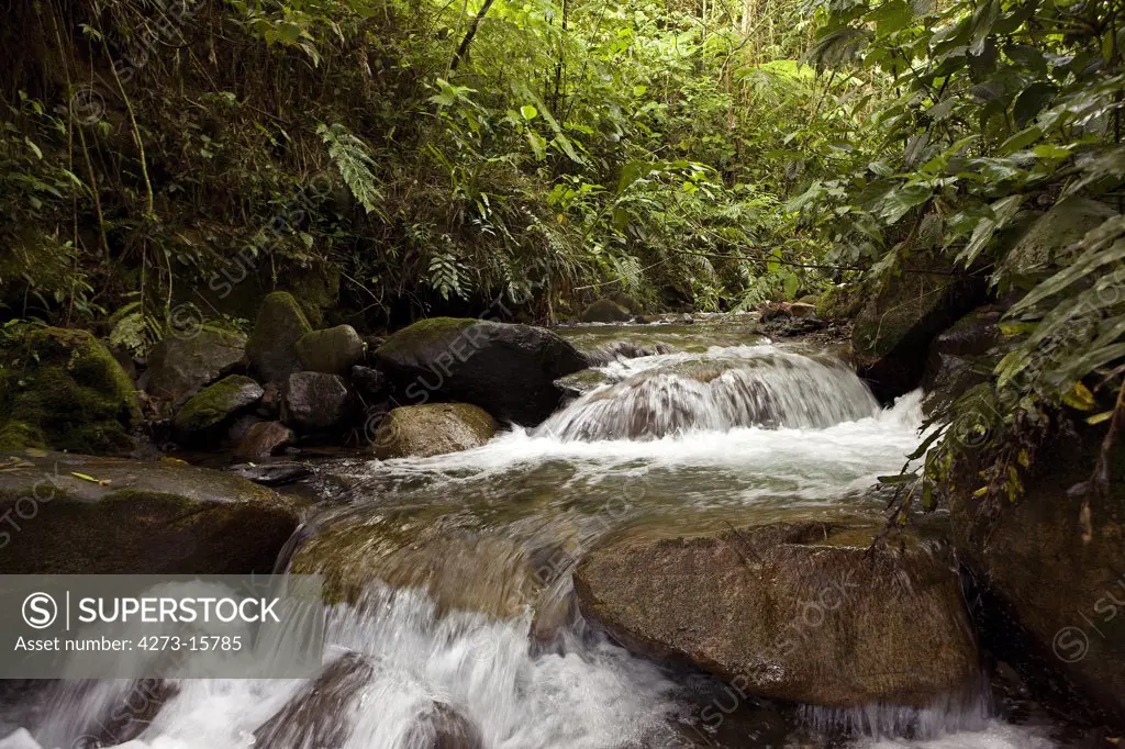 Waterfalls in Manu National Park in Peru