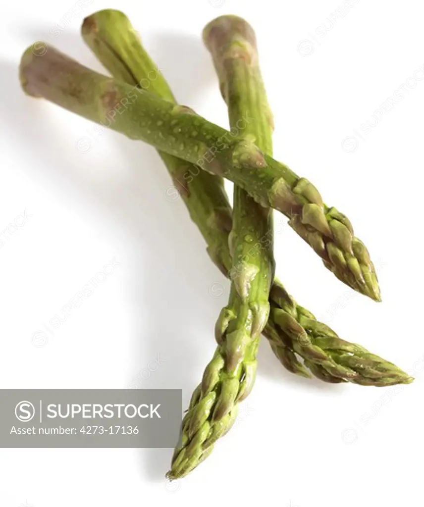 Green Asparagus, asparagus officinalis, Vegetables against White Background