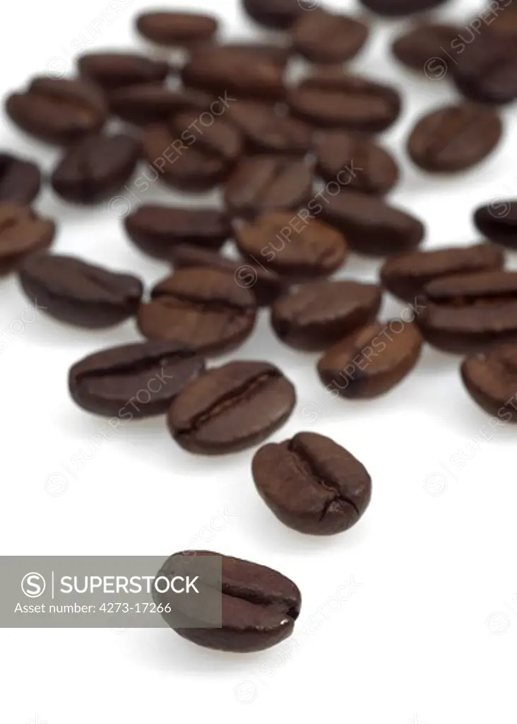 Coffee Beans against White Background