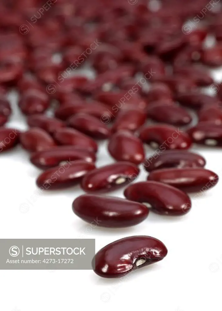 Red Beans, phaseolus vulgaris, Dried Vegetables against White Background