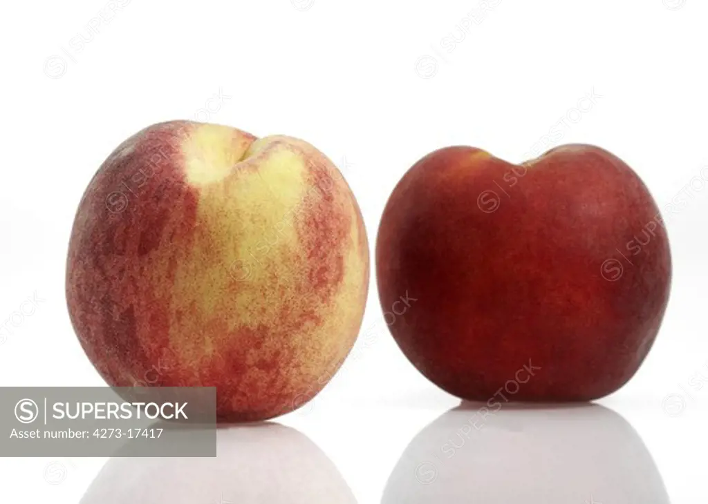 Whyte Peach, persica vulgaris, Fruits against White Background