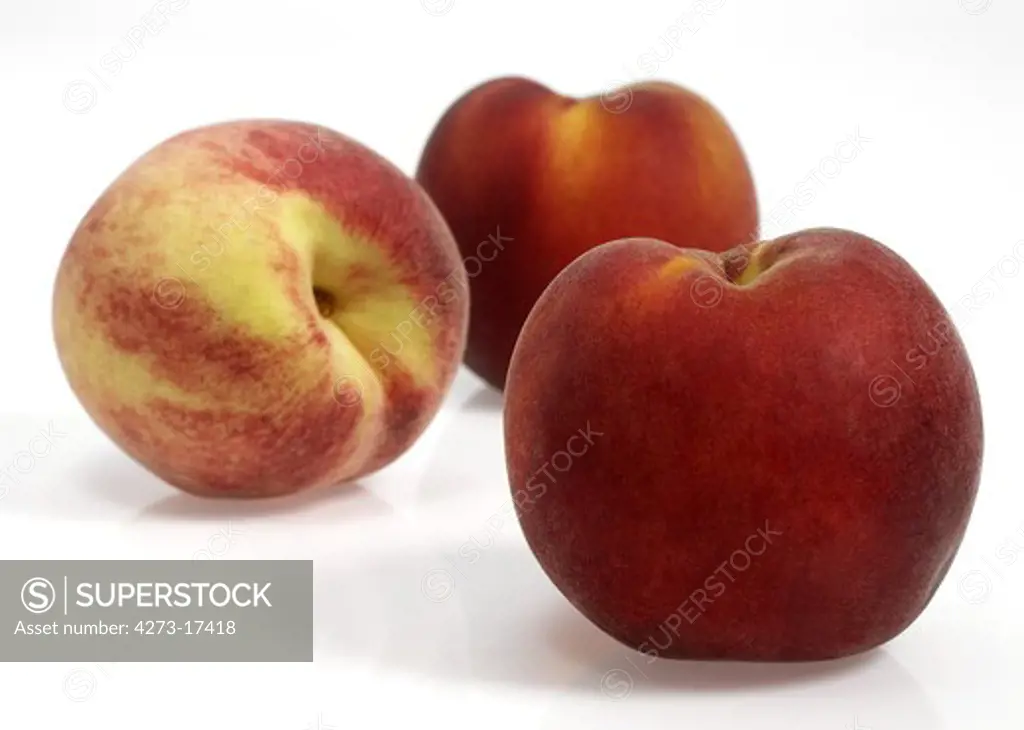 Whyte Peach, persica vulgaris, Fruits against White Background
