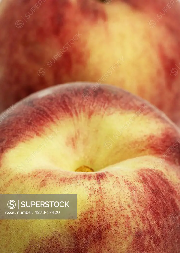 Whyte Peach, persica vulgaris, Close up of Fruit