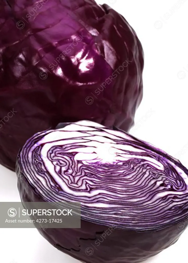 Red Cabbage, brassica oleracea, Vegetable against White Background