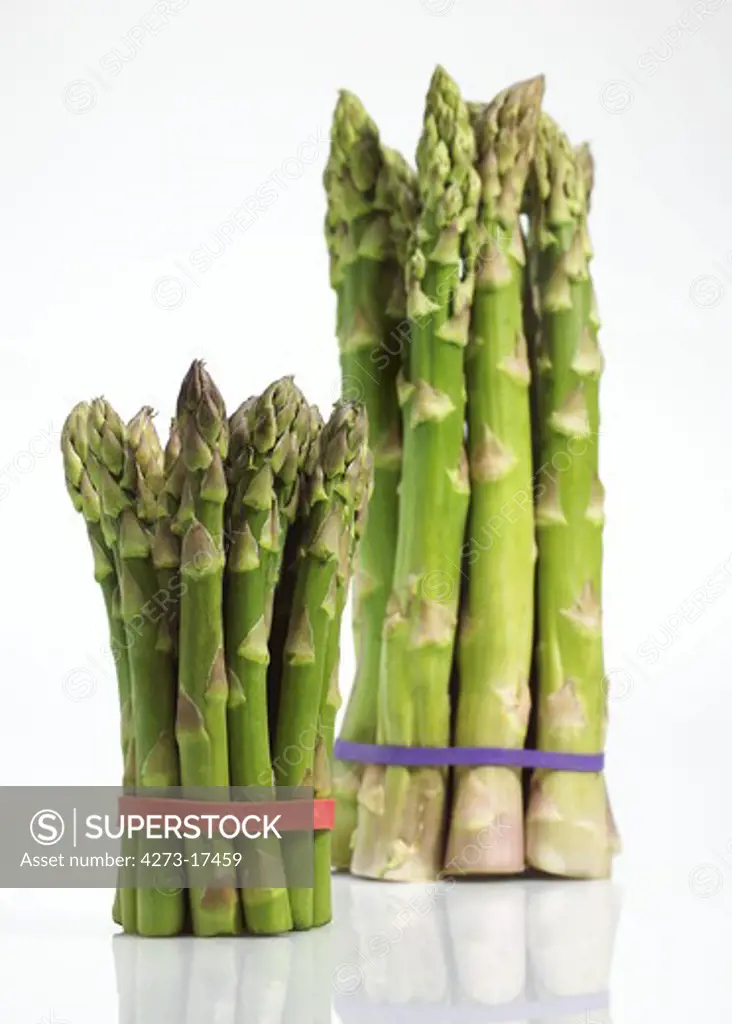 Green Asparagus, asparagus officinalis, Vegetables against White Background