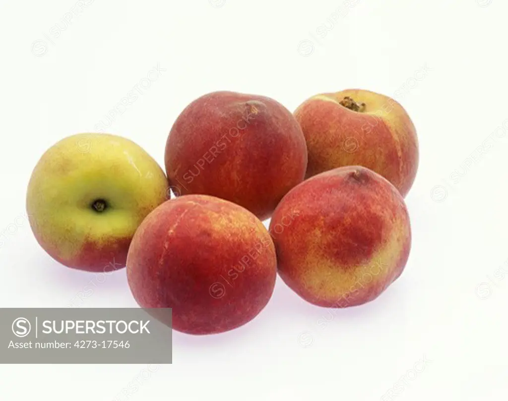 Peachs, persica vulgaris, Fruits against White Background