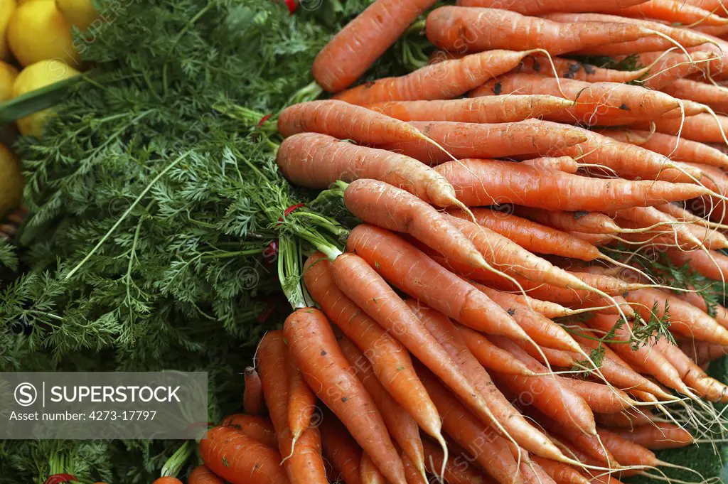 Carrot, daucus carota, Vegetable at Market Stall