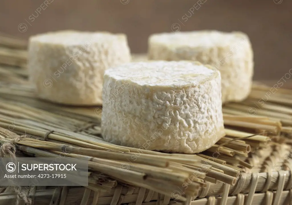 French Cheese Called Crottin, Cheese made with Goat Milk
