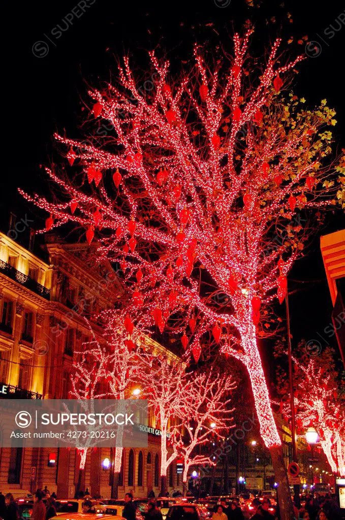 Decorated Tree for Christmas at The Galeries Lafayette on Haussmann Boulevard in Paris