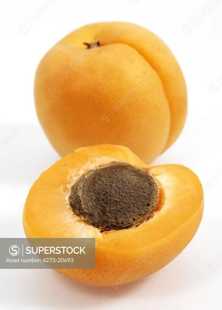 Apricots, prunus armeniaca against White Background