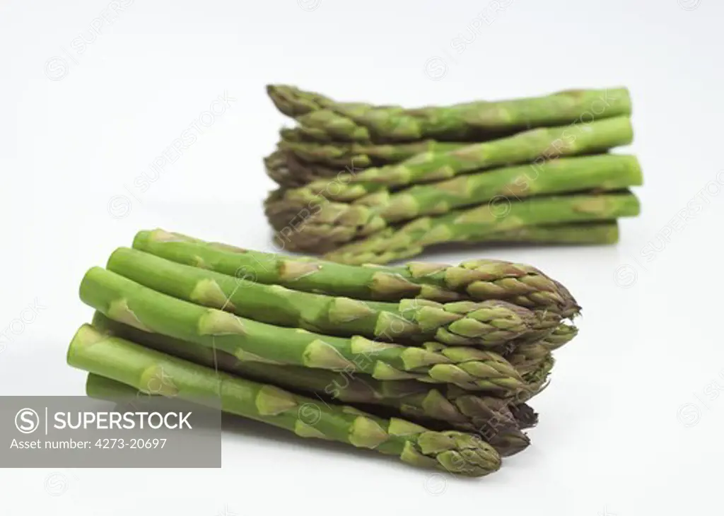 Green Asparagus, asparagus officinalis  against White Background