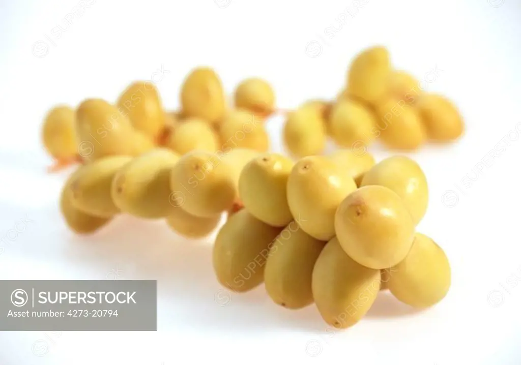 Fresh Dates, phoenix dactylifera  against White Background