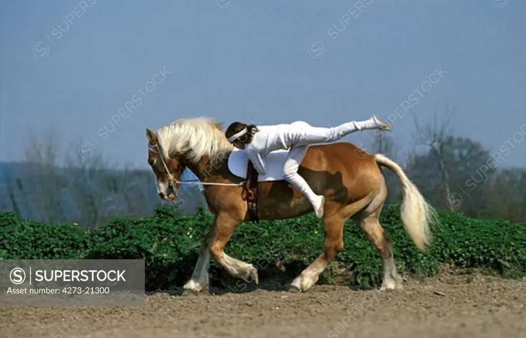Teenager, mounted gymnastics, voltige with Haflinger Horse, Deauville in France