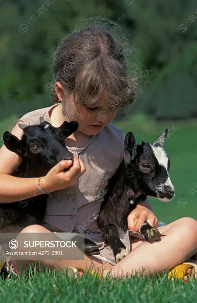Girl With Pygmy Goats