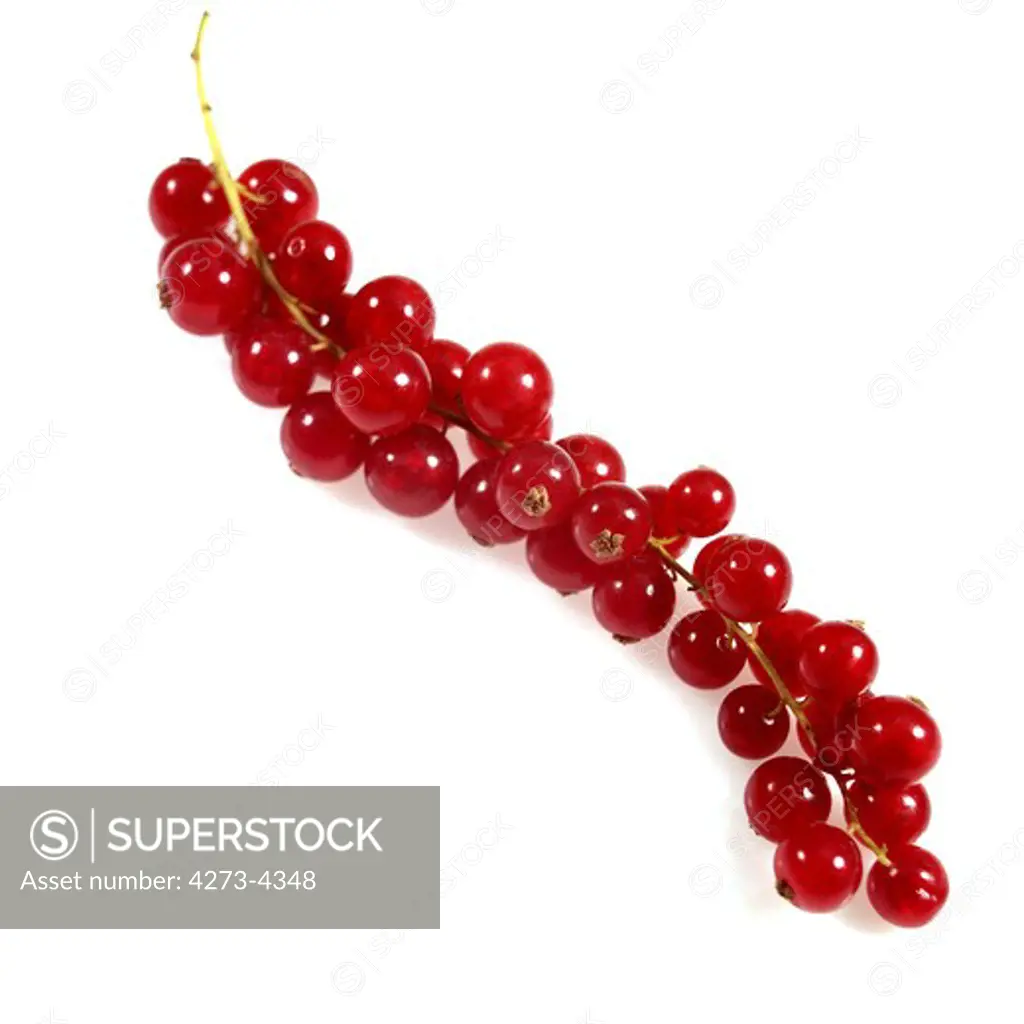 Redcurrants, Ribes Rubrum, Fruits Against White Background