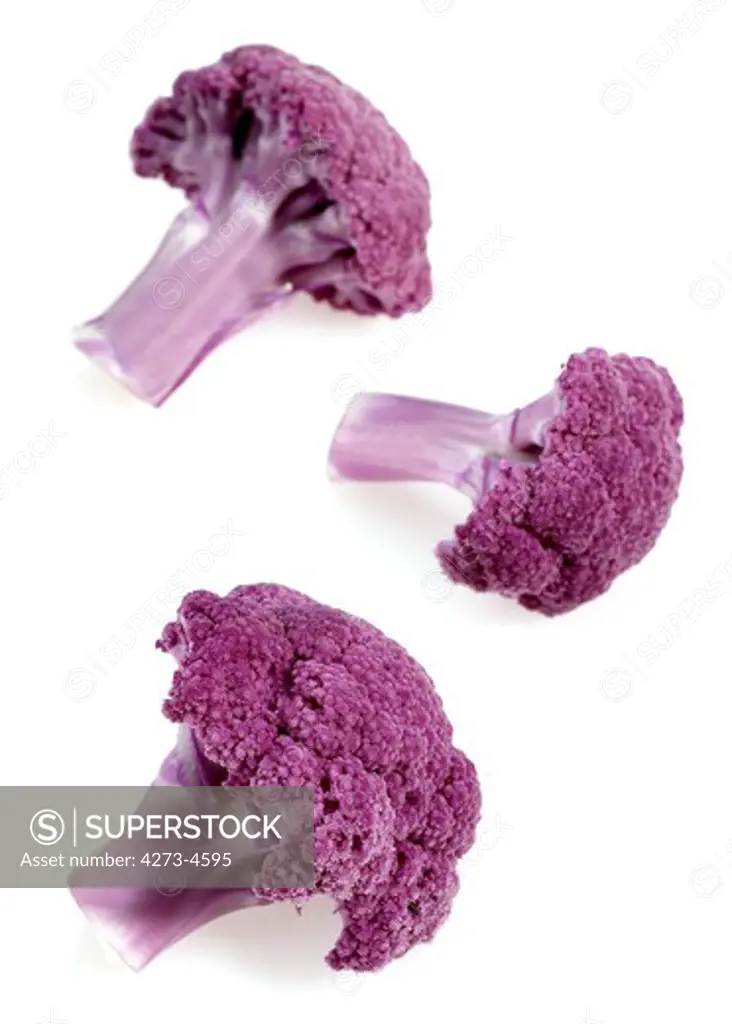 Purple Cauliflower Brassica Oleracea Against White Background