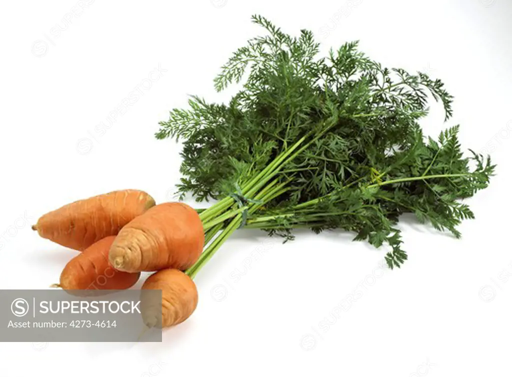 Carrot, Daucus Carota, Vegetable Against White Background