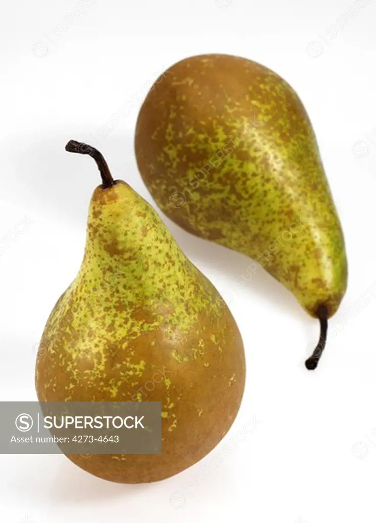 Conference Pear Pyrus Communis Against White Background