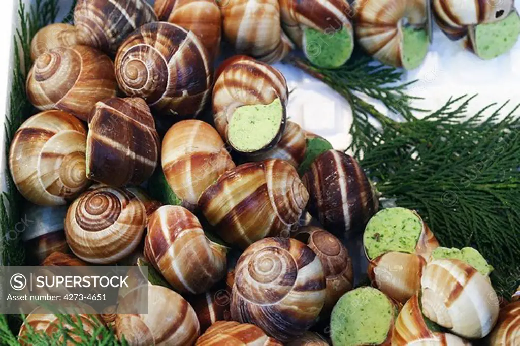 Roman Snail Helix Pomatia, Recipe With Garlic Butter
