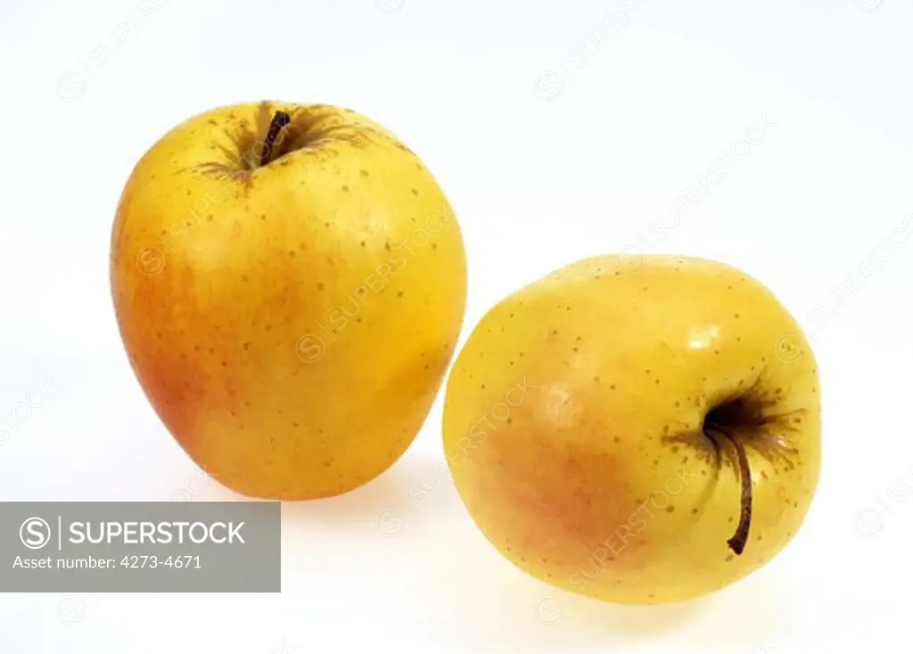 Golden Apple, Malus Domestica, Fruits Against White Background