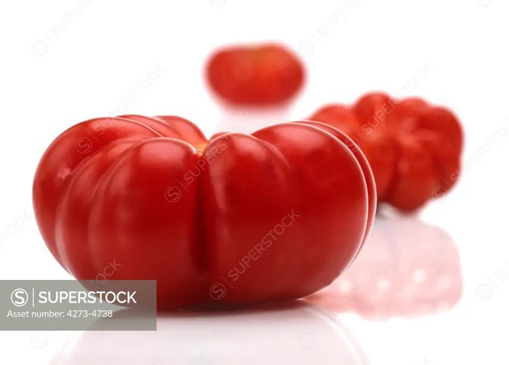 Camone Tomatoes, Solanum Lycopersicum, Vegetable Against White Background