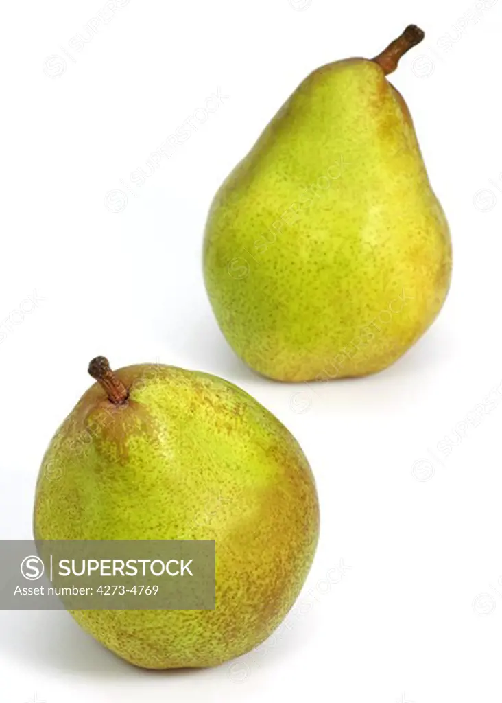 Comice Pear, Pyrus Communis, Fruit Against White Background