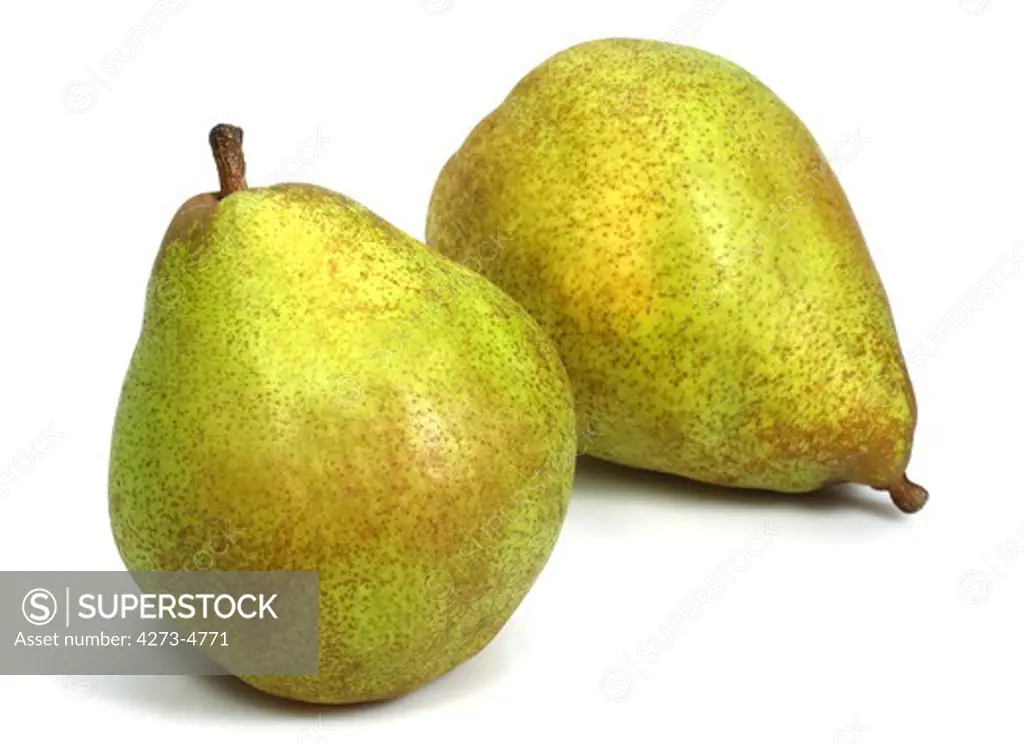 Comice Pear, Pyrus Communis, Fruit Against White Background