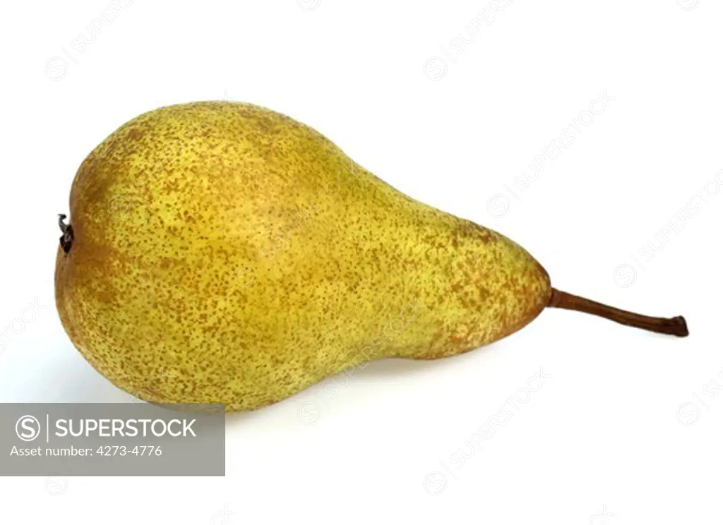 Conference Pear, Pyrus Communis, Fruit Against White Background