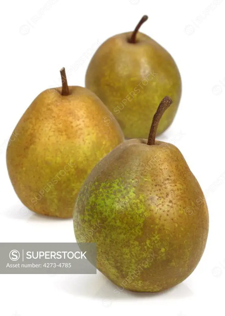 Beurre Hardy Pear Pyrus Communis Against White Background