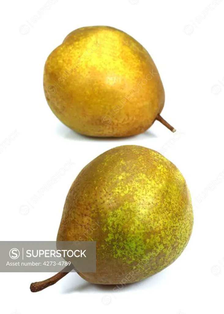 Beurre Hardy Pear, Pyrus Communis, Fruit Against White Background