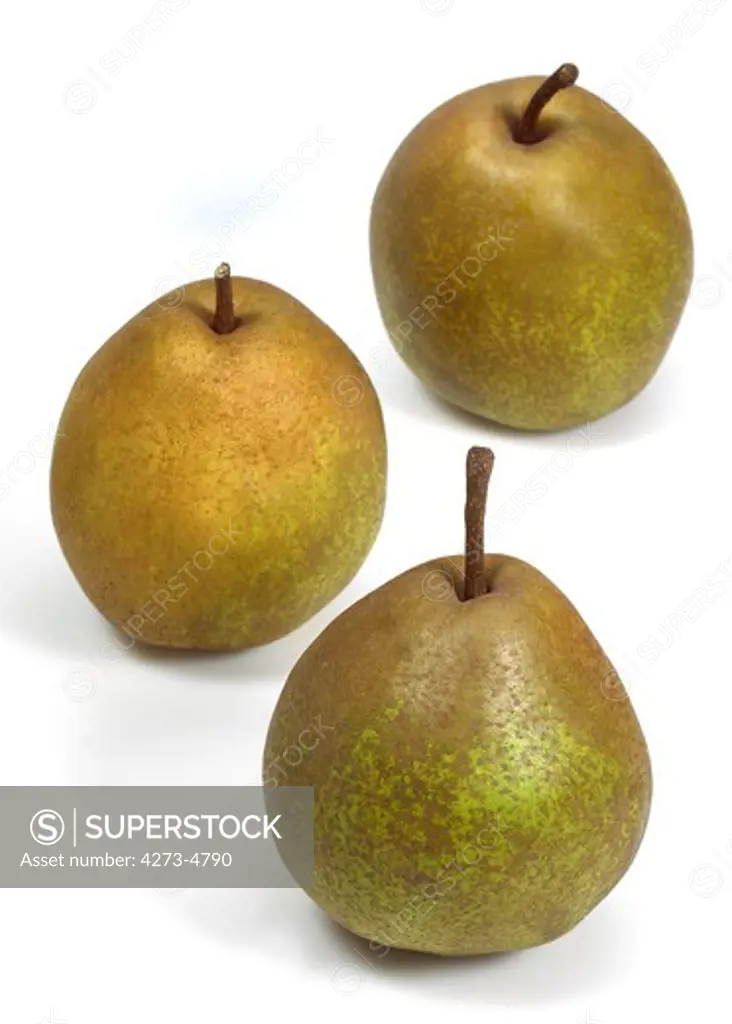Beurre Hardy Pear Pyrus Communis Against White Background