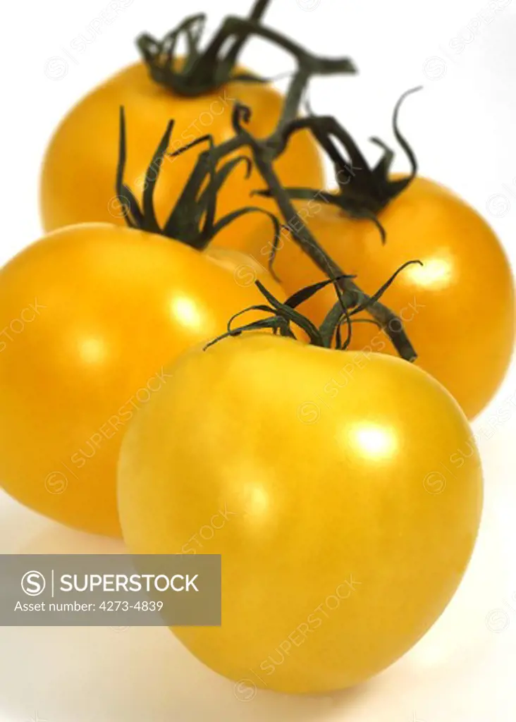 Yellow Tomatoes, Solanum Lycopersicum, Vegetable Against White Background