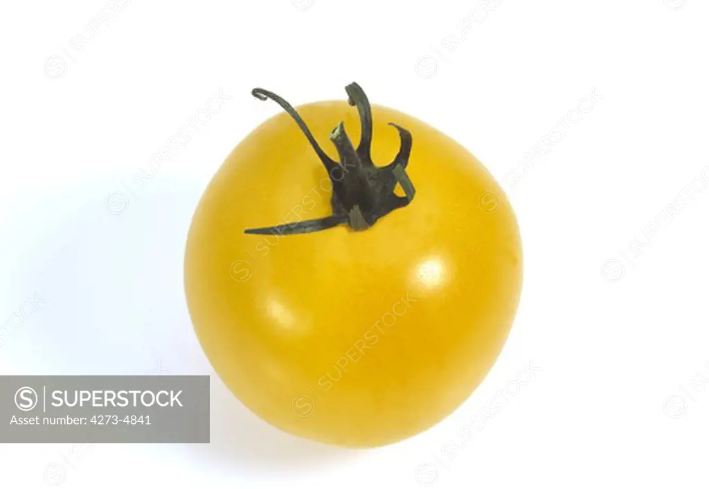 Yellow Tomato, Solanum Lycopersicum, Vegetable Against White Background