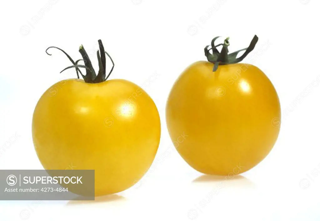 Yellow Tomatoes, Solanum Lycopersicum, Vegetable Against White Background