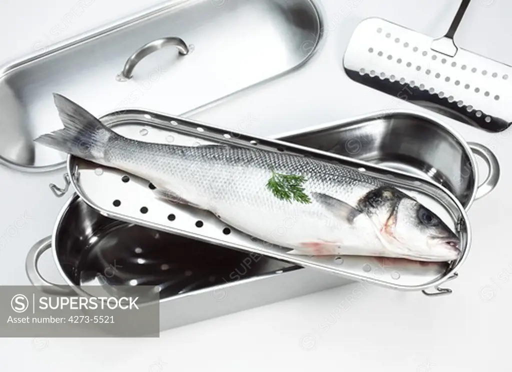 Fresh Bass Dicentrarchus Labrax Ready To Cook