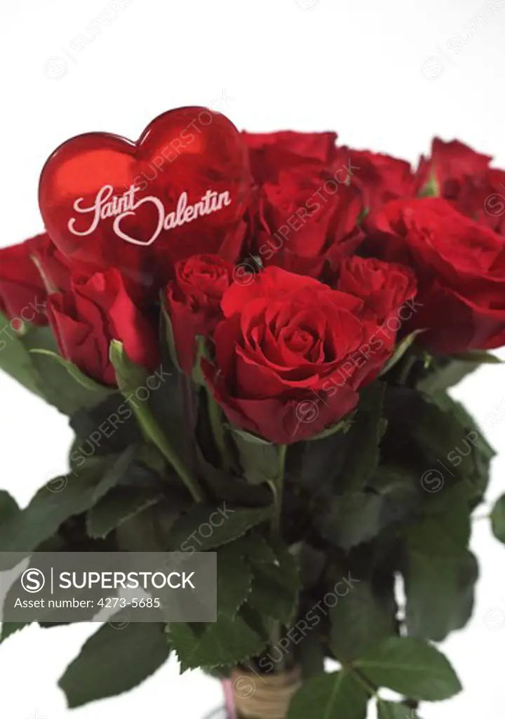 Red Roses For Saint Valentine'S Day