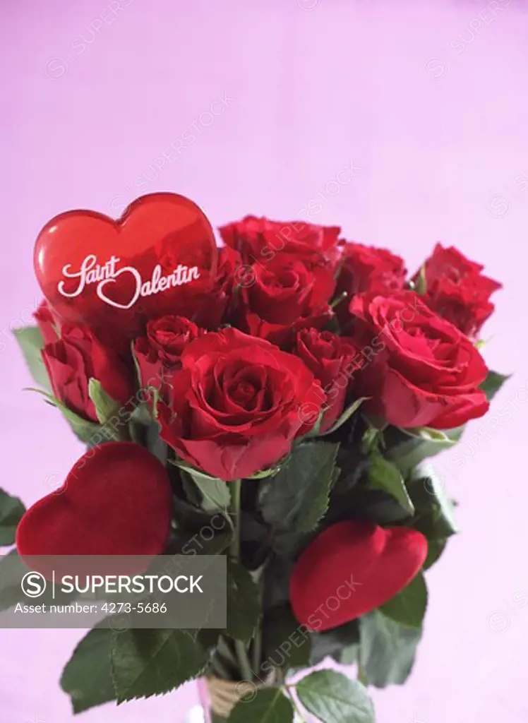 Red Roses For Saint Valentine'S Day