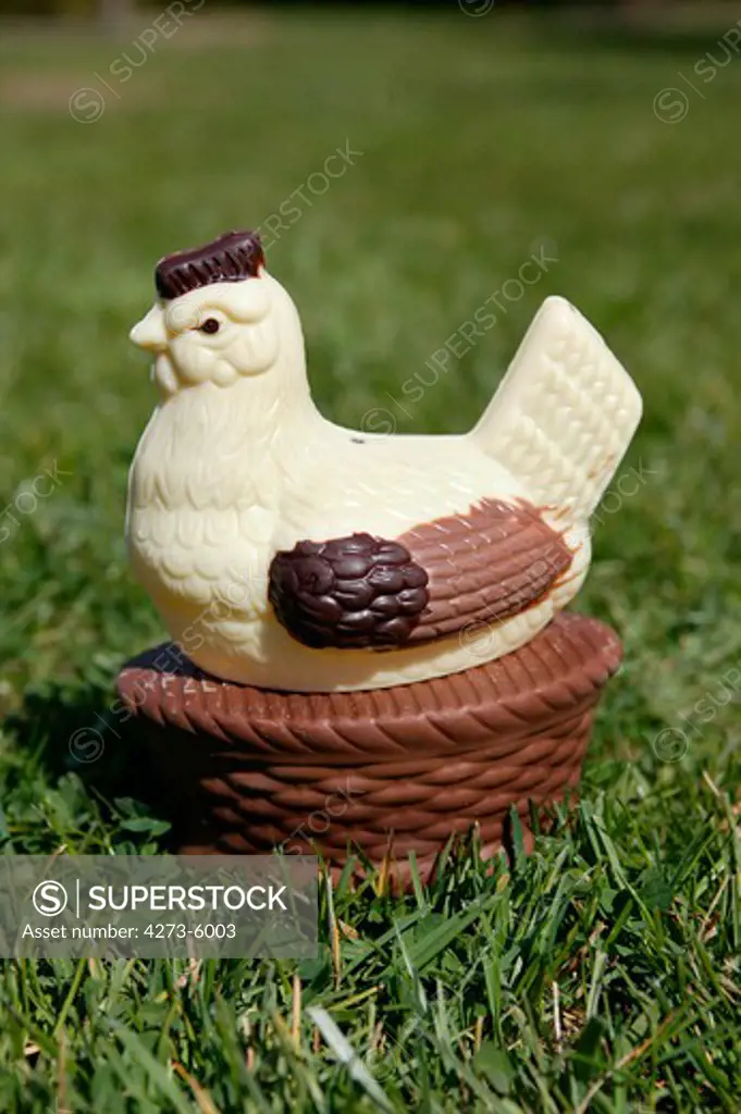 Chocolate Easter Hen Standing On Grass