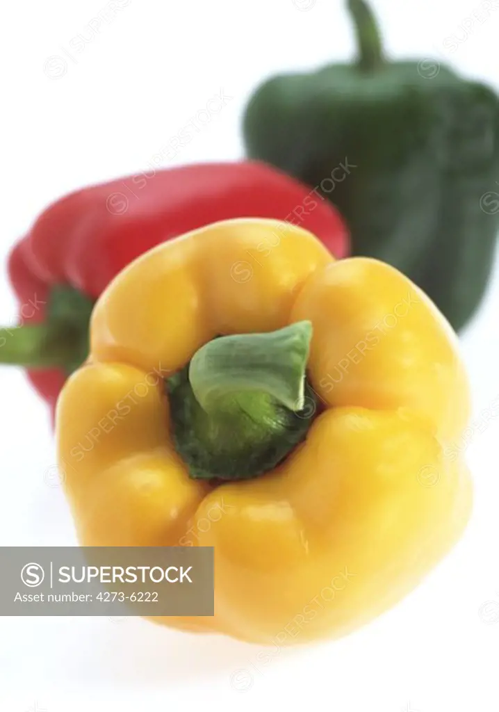 Sweet Red, Sweet Yellow And Sweet Green Pepper Capsicum Annuum