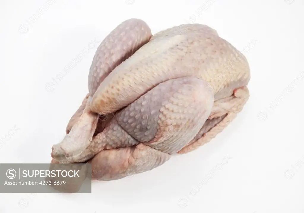 Chicken Ready To Be Cooked Against White Background