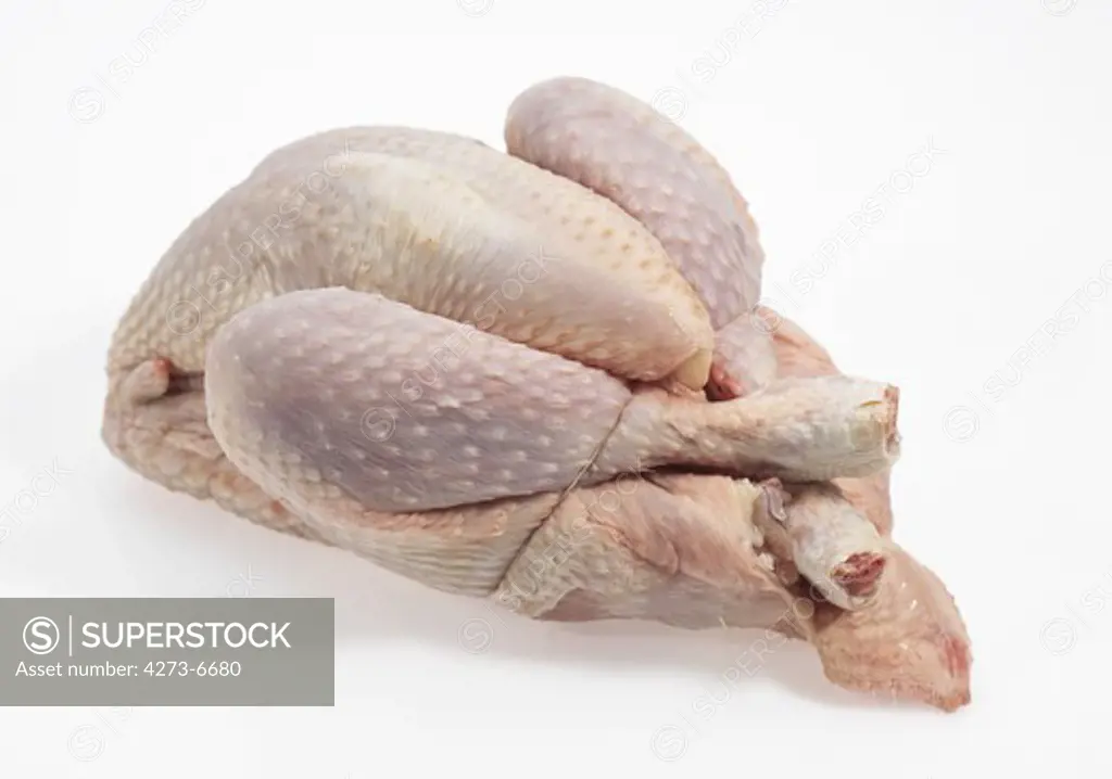Chicken Ready To Cook Against White Background