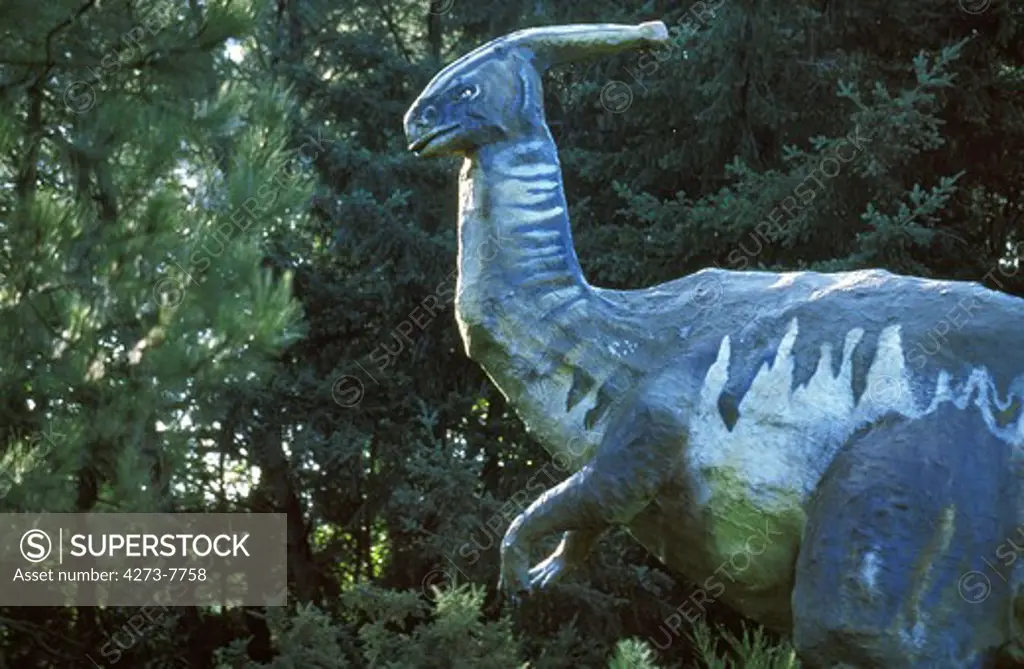 Parasaurolophus, Genus Of Ornithopod Dinosaur From The Late Cretaceous Period, In North America, About 80-70 Million Years Ago