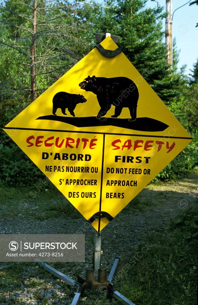 Road Sign With Bears, Quebec In Canada