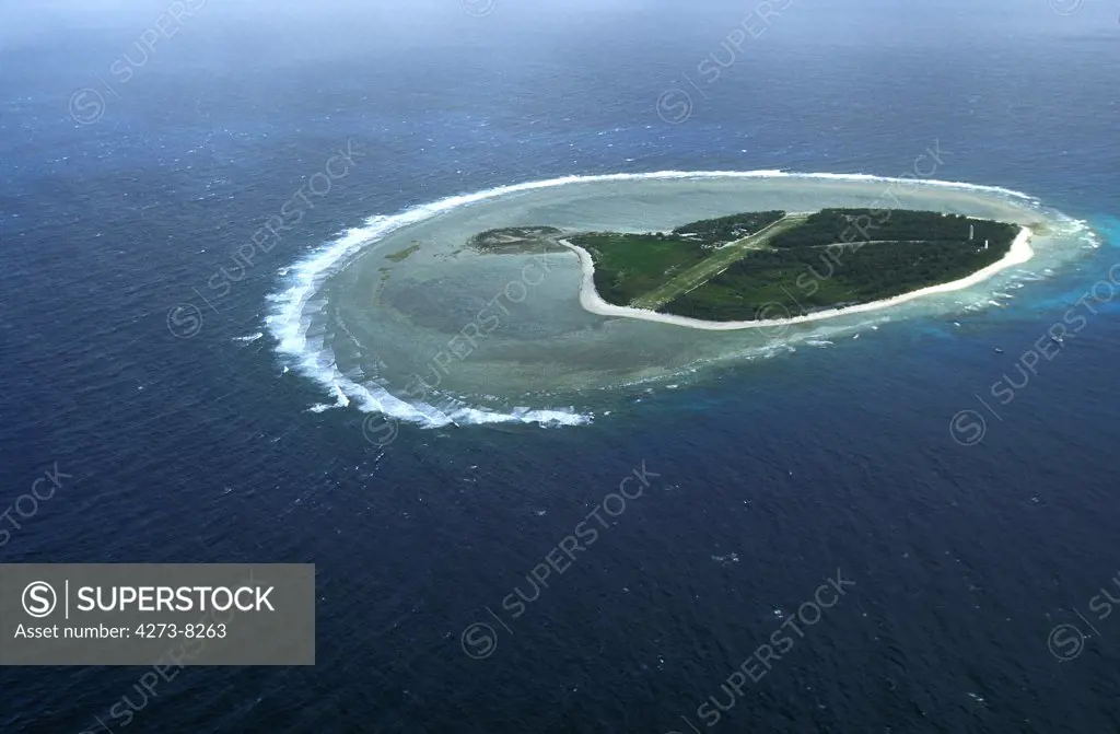 Lady Heliot Island In Australia