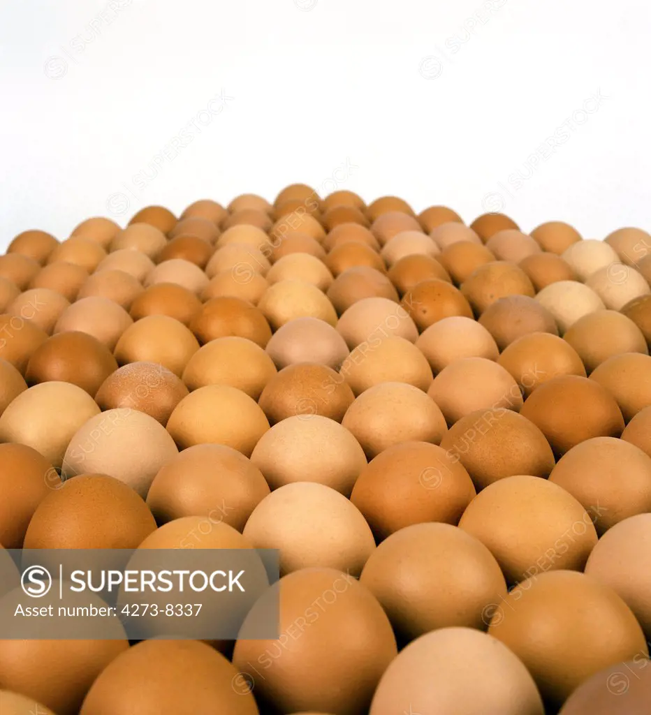 Display Of Chicken Eggs