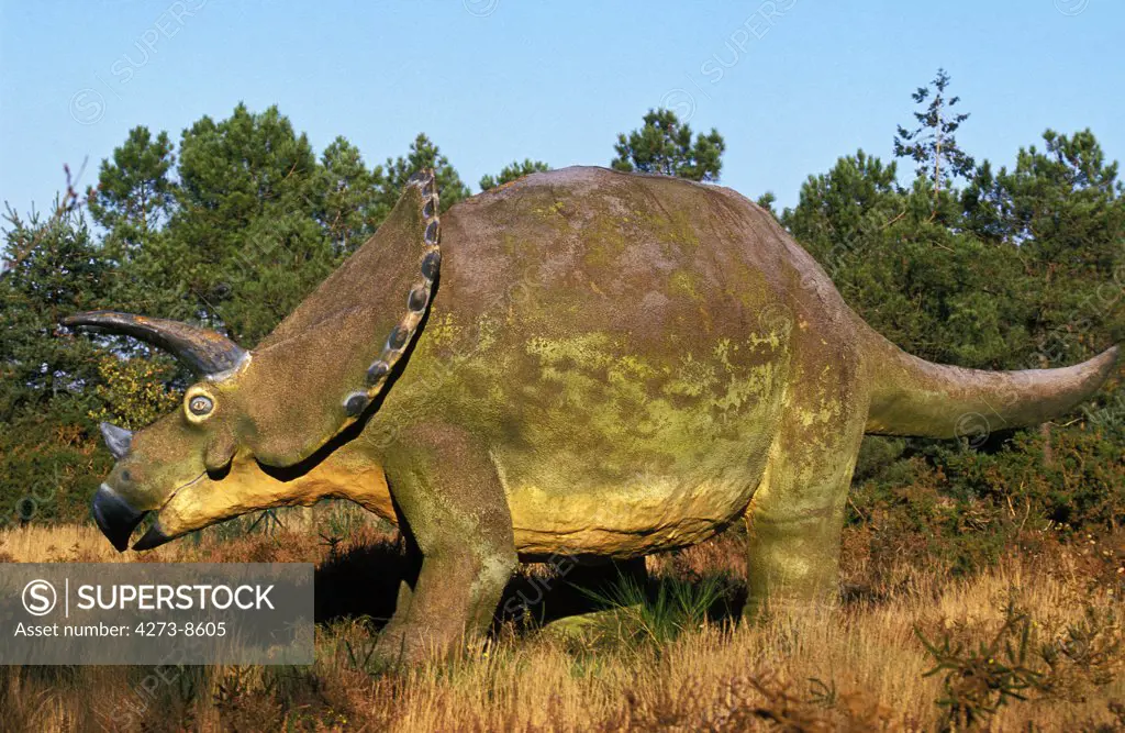 Triceratops, Herbivorous Ceratopsid Dinosaur Which Lived In North America During The Late Maastrichtian Stage Of The Late Cretaceous Period, Around 68 And 65 Million Years Ago