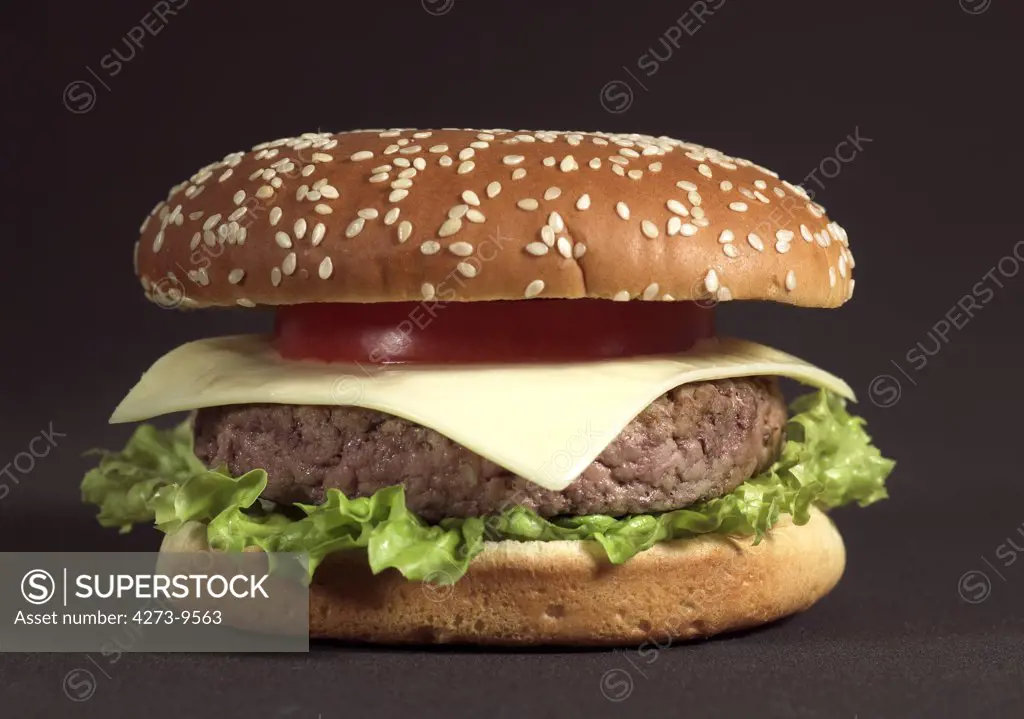 Hamburger Against Black Background