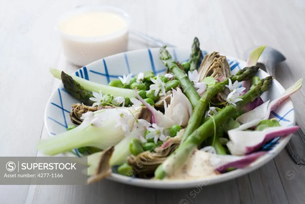 Spring vegetables with aioli