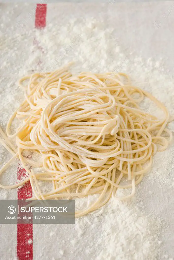 Fresh homemade spaghettini