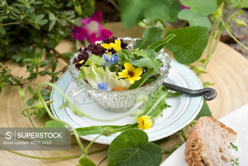Salad with assorted herbs